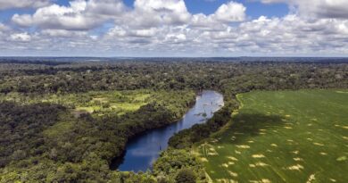 Pará