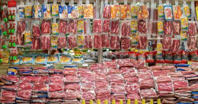 Preço da carne bovina sobe em outubro; Goiás lidera alta no varejo